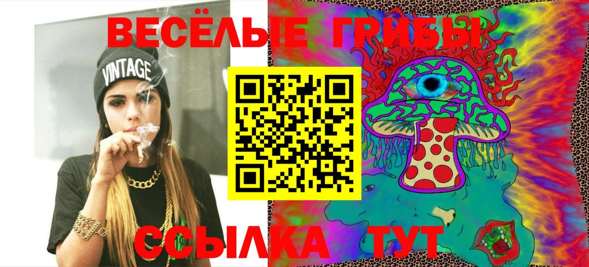 Псилоцибиновые грибы GOLDEN TEACHER Кольчугино