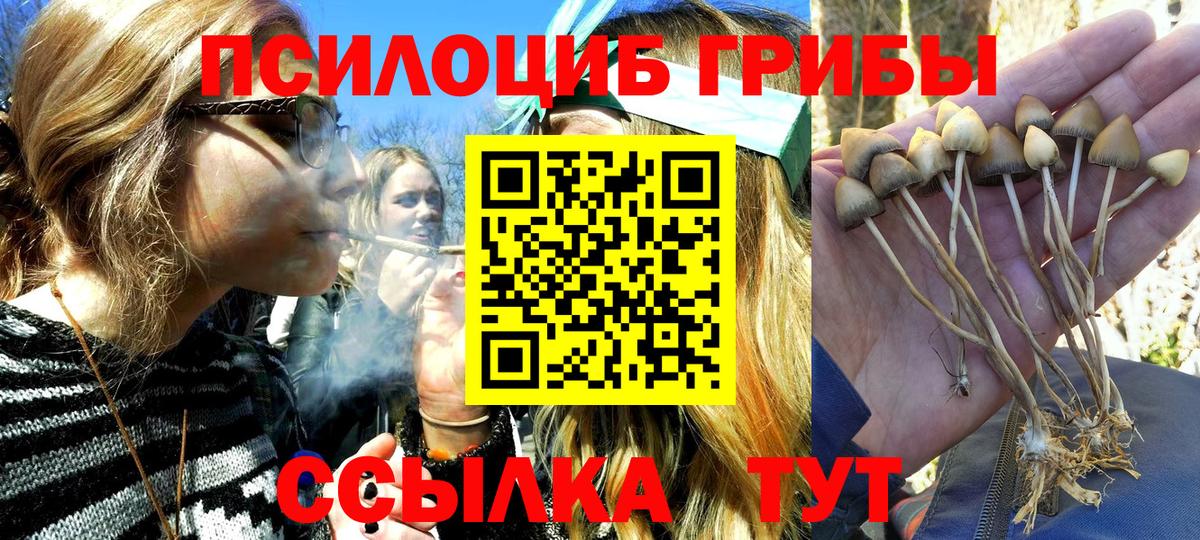 Галлюциногенные грибы мицелий  Вход с VPN  Кольчугино 